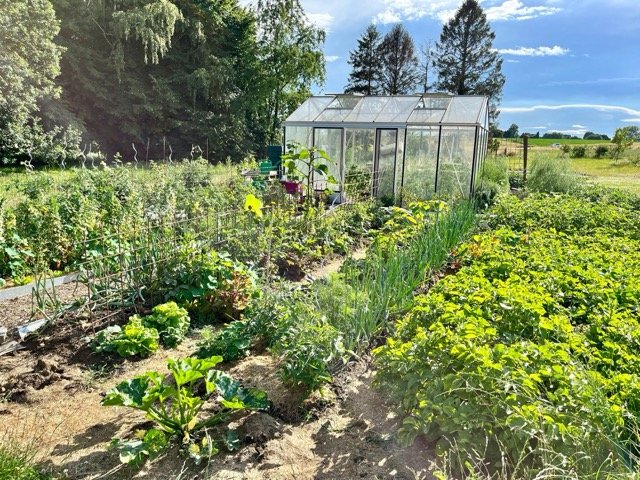 Stages,cours Formation Potager Abondant (pour tendre vers autonomie légumes)