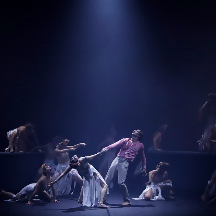 Spectacles Giselle(s)