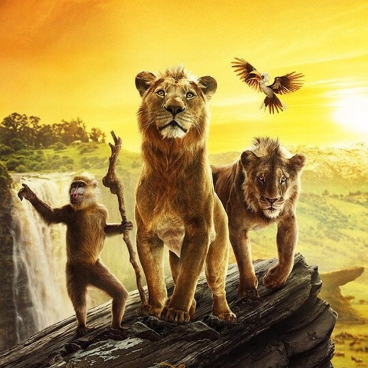 Spectacles Ciné plein - Mufasa