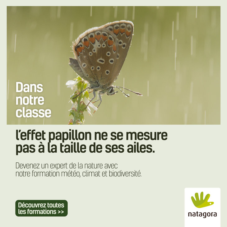 Stages,cours Formations naturalistes pour adultes la météo, climat à biodiversité