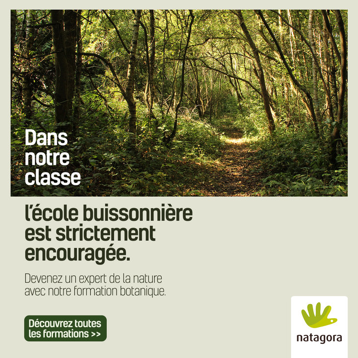 Stages,cours Formations naturalistes pour adultes la botanique
