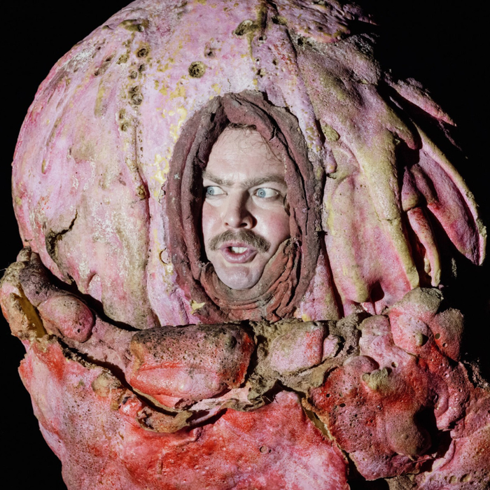 Spectacles Le Dindon