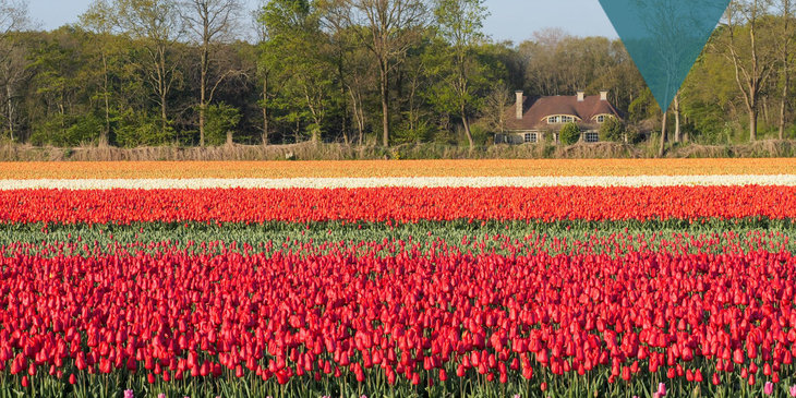 Conférences Exploration monde :  Pays-Bas, Amsterdam 