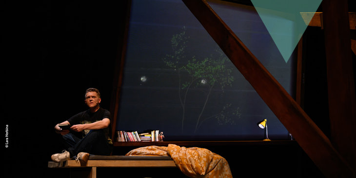 Spectacles Les Dragons