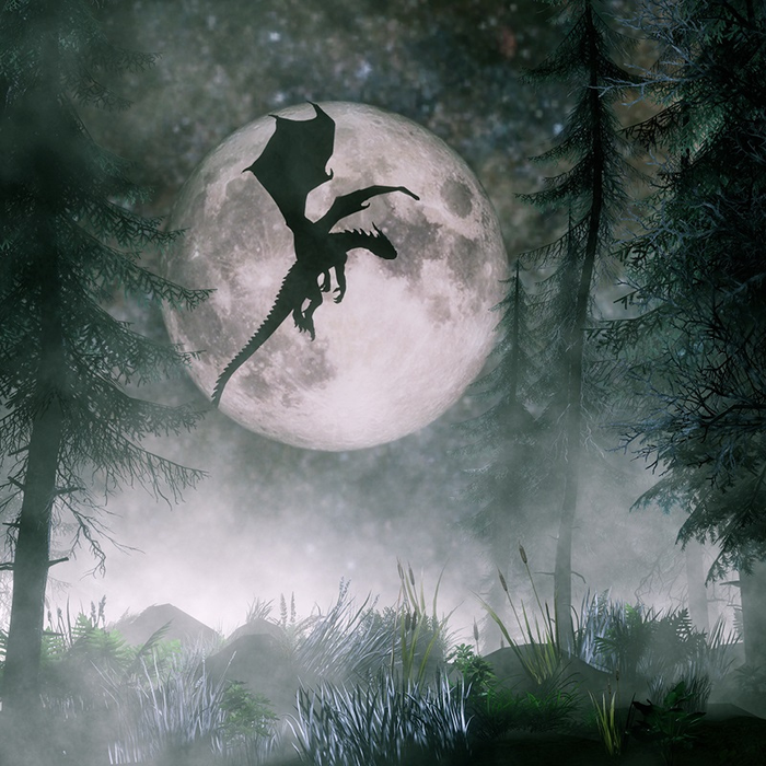 Spectacles Le Dragon