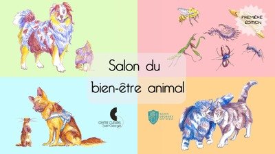 Stages,cours Salon bien-être animal