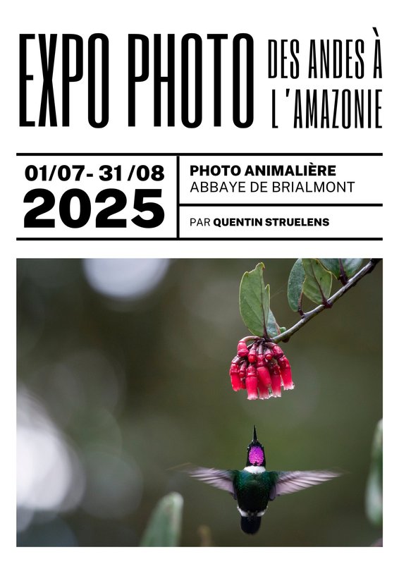Expositions La faune équatorienne Andes l Amazonie