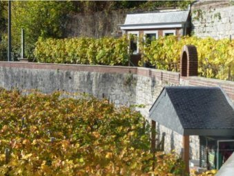Loisirs Journées Patrimoine vignoble Buley trésor viticole
