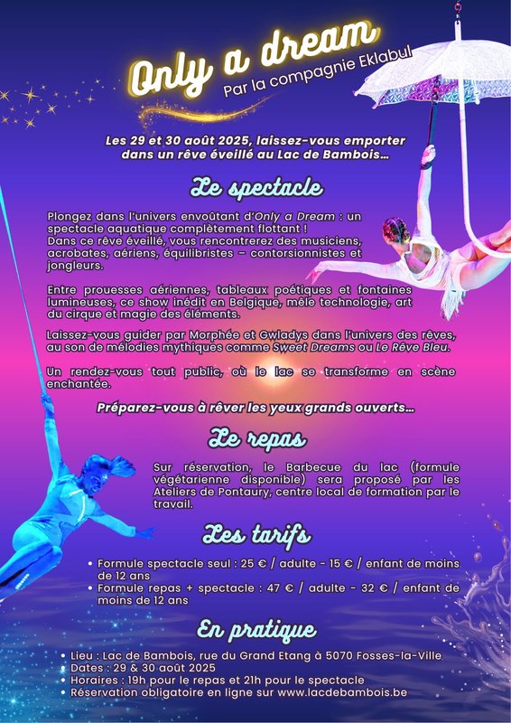 Spectacles Only a dream Spectacle nocturne Lac Bambois