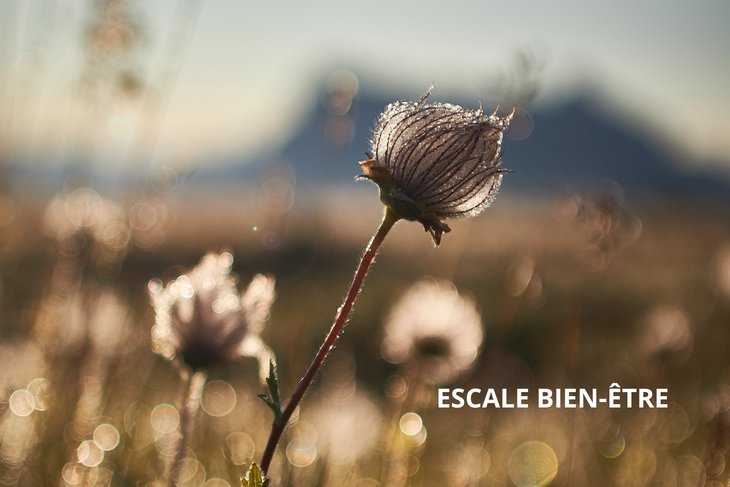 Stages,cours Atelier Escale bien-être