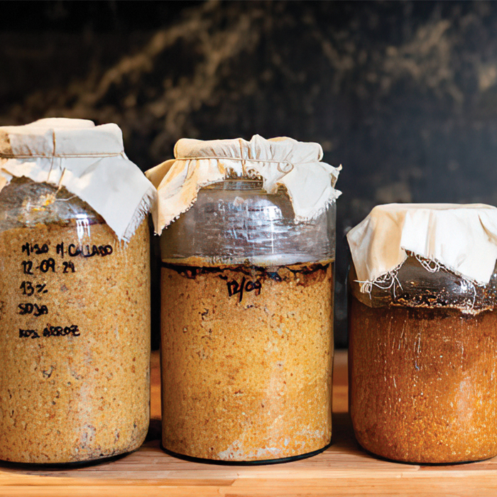 Stages,cours Atelier Saisons  - Lacto-fermentation
