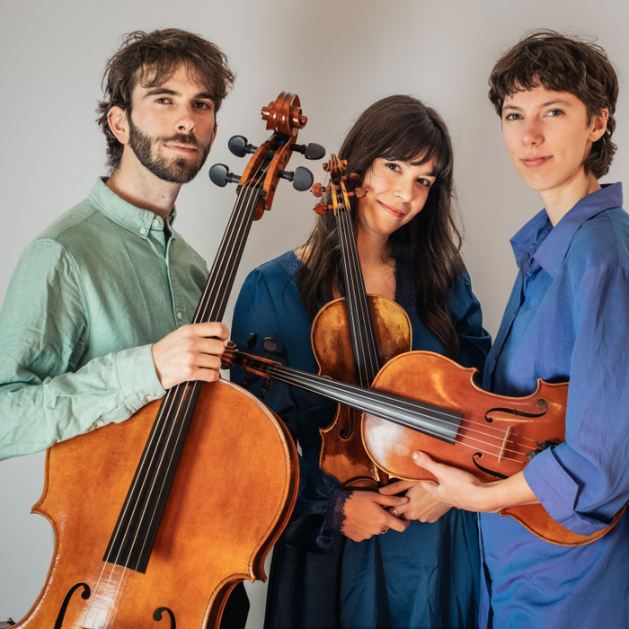 Stages,cours Classique l Abbaye : Ensemble Satellite