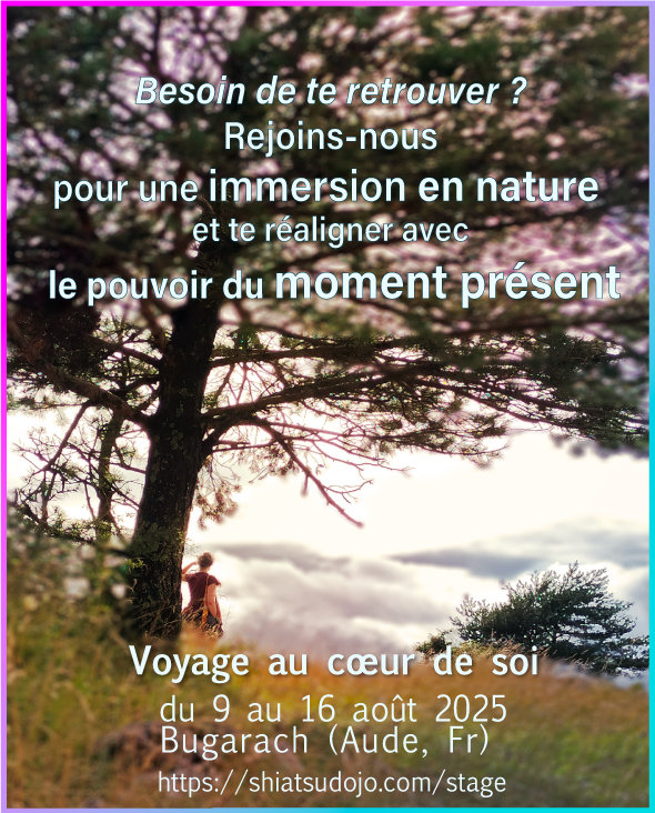 Stages,cours Retraite  Voyage Coeur Soi 