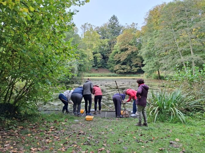 Stages,cours Les petits mystères l étang du sous-bois