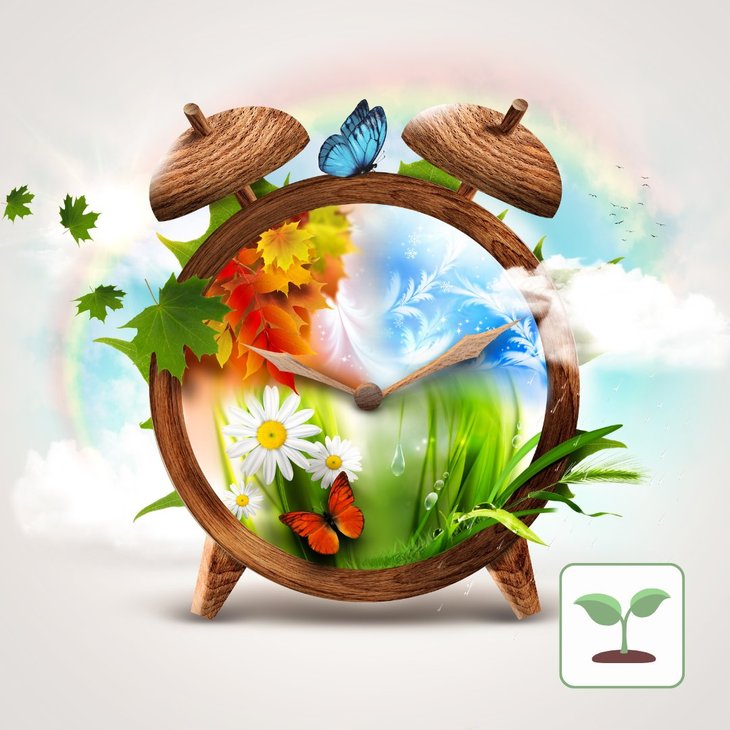 Stages,cours Mini-pousses : musique saisons