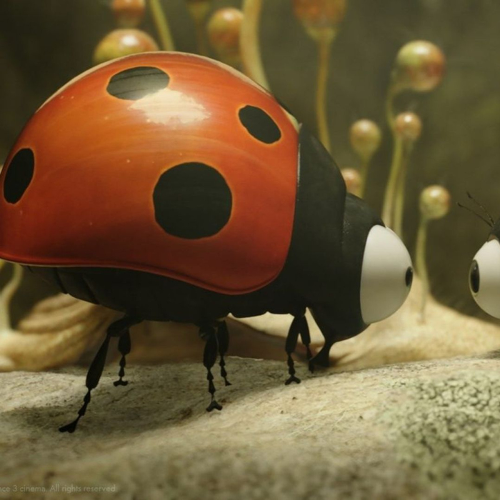 Spectacles FestiWhalll : Minuscule les mandibules bout monde