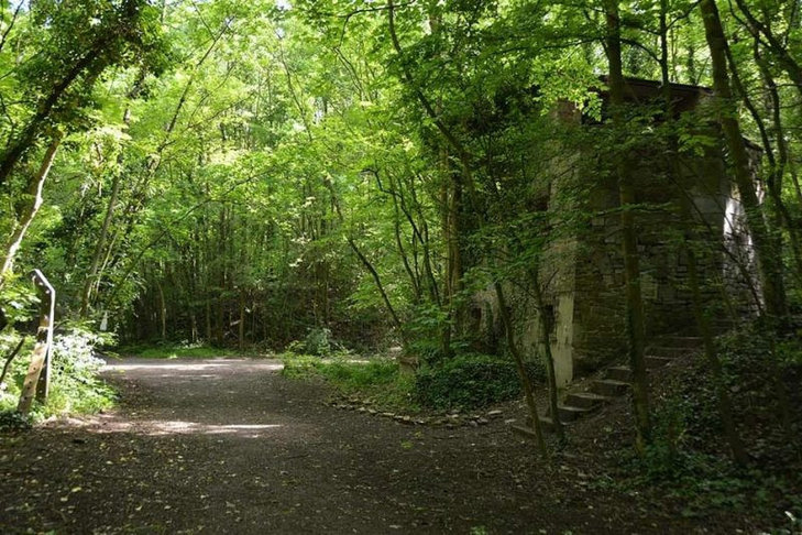 Loisirs La Chartreuse, trésor biodiversité. la découverte hôtes ces bois.