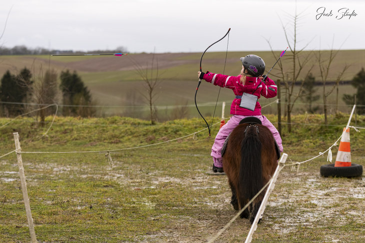 Loisirs Activités poneys ânes - brossage, balade, parcours libres, à l arc