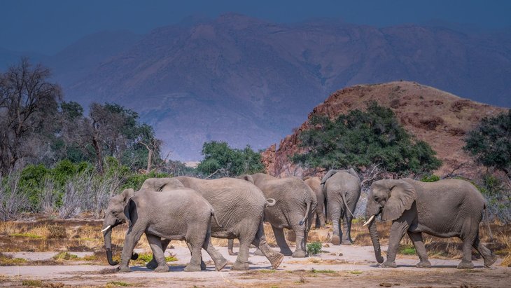 Conférences Exploration monde  Namibie, exceptionnelle nature 