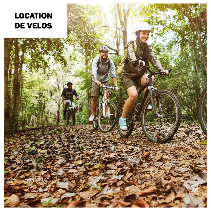 Loisirs Location vélos Vtt électriques