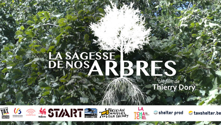 Spectacles Film sagesse nos arbres  en plein air, sous étoiles