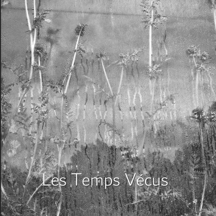 Stages,cours Rencontre avec Gaël Turine - Temps Vécus - Expo