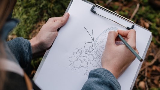 Stages,cours Dessiner nature