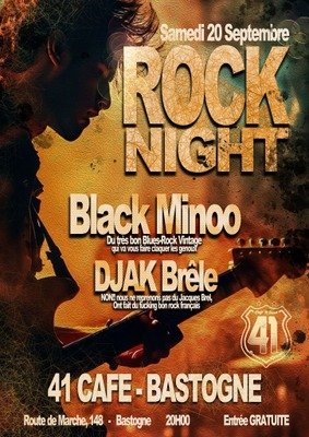 Stages,cours Rock Night