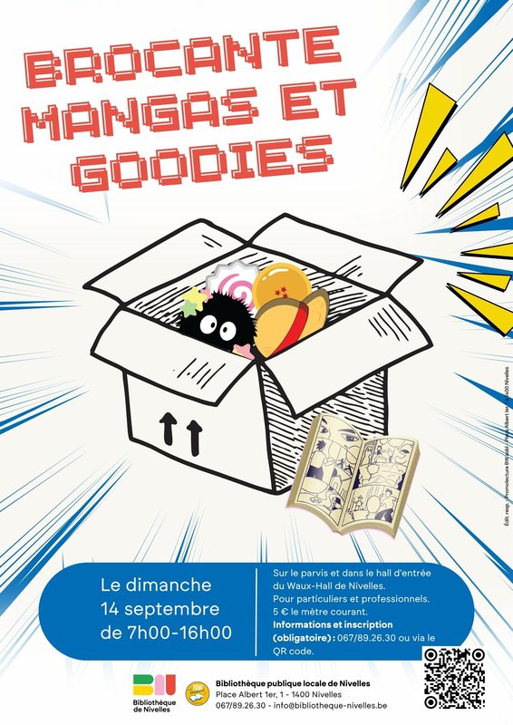 Loisirs Brocante mangas goodies