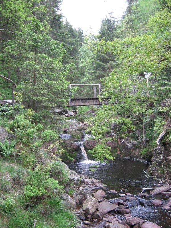 Loisirs Balade nature  Sur traces la capture la Warche 