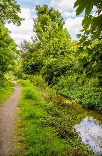 Loisirs Festival Forêt Soignes Balade long la Woluwe