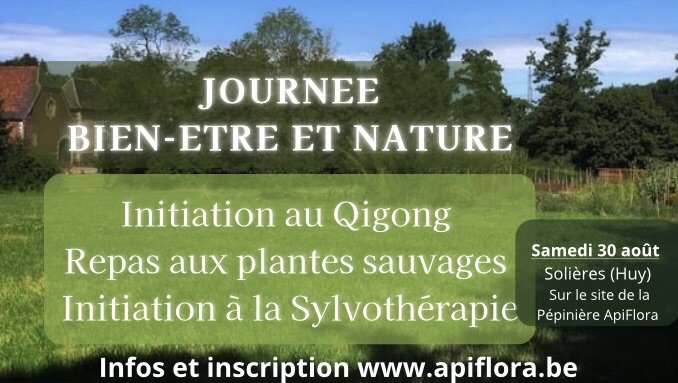 Stages,cours Journée Bien-être Nature