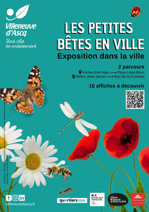 Stages,cours Les petites bêtes ville
