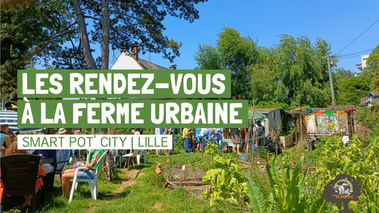 Stages,cours Les rendez-vous la ferme urbaine Smart Pot  City