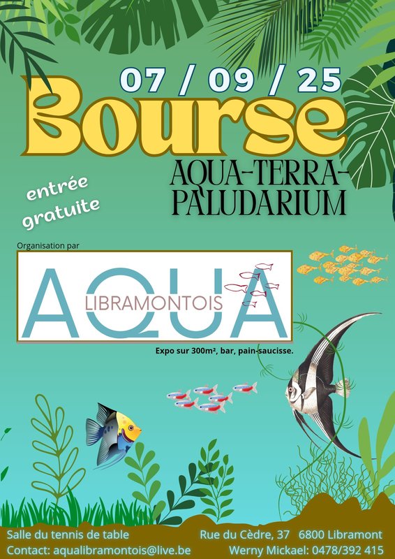 Loisirs Bourse Aqualibramontois