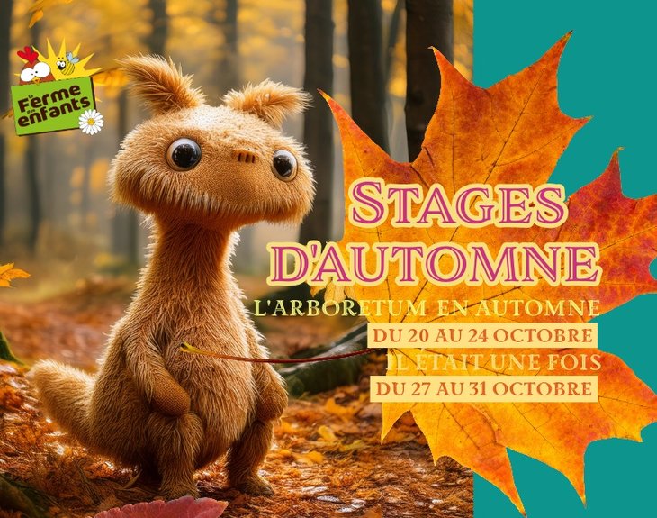 Stages,cours Stages d automne