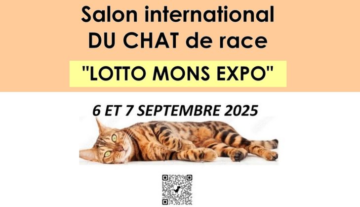 Loisirs Salon International Chat - Jungle Cats Show