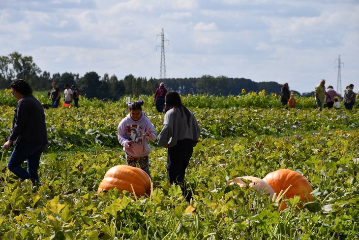 Loisirs Fête la courge