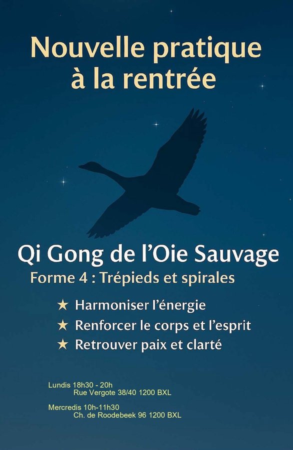 Stages,cours Qi Gong - Ecole la grande sauvage Bruxelles