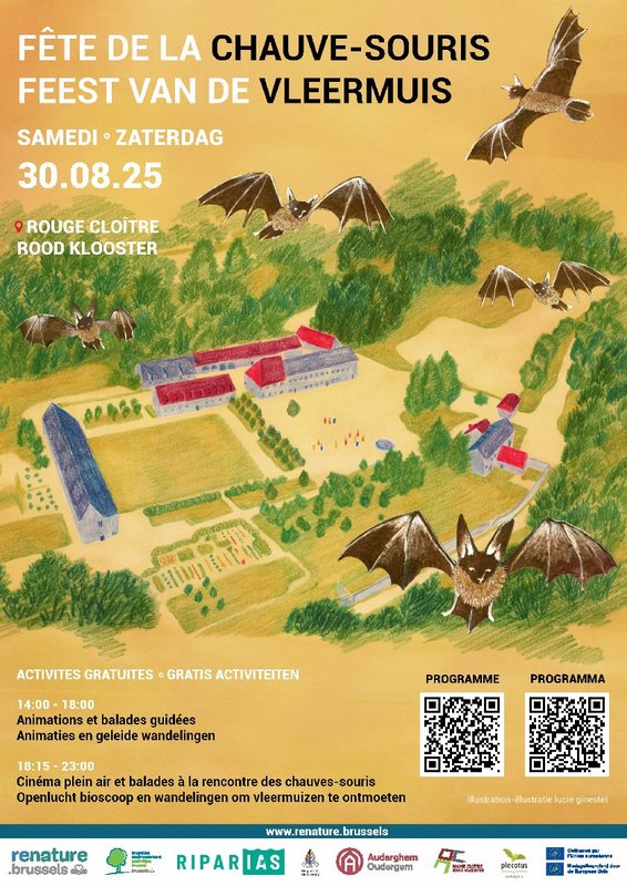 Loisirs Fête la chauve-souris