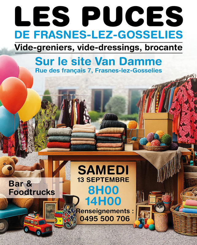 Loisirs Les puces Frasnes-lez-Gosselies