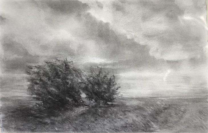 Expositions Exposition fusains pastels Laurence Hollanders