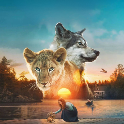 Spectacles Le Loup le Lion