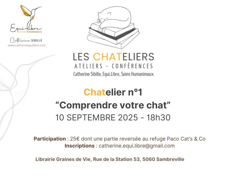 Conférences Chatelier n°1 : Comprendre votre chat