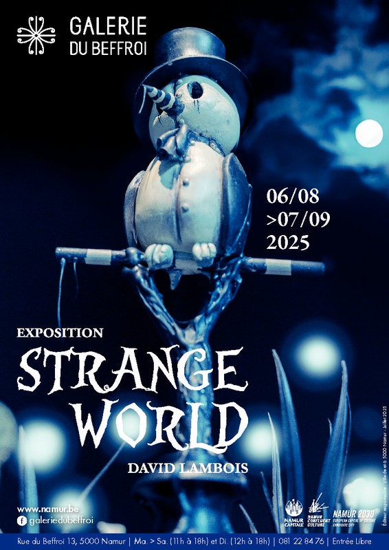 Expositions Strange World - David Lambois