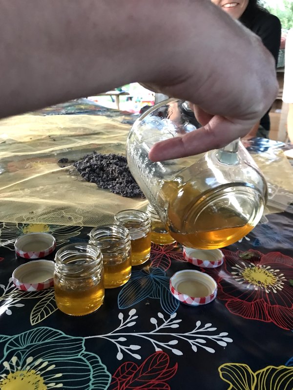 Stages,cours Les plantes dans l’huile le vinaigre, pharma phyto (presque) zéro euro.