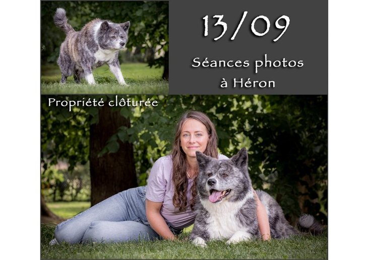 Loisirs Séances photos pour chiens