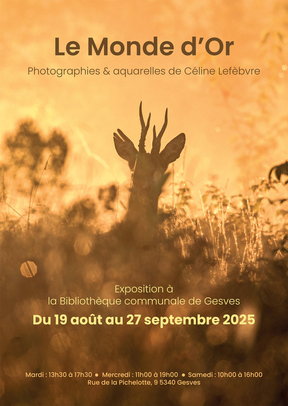 Expositions Le monde d Or