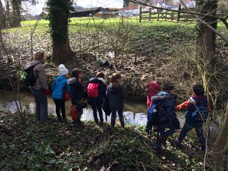 Stages,cours Nature & Art
