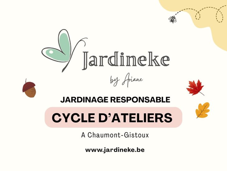 Stages,cours Cycle 5 journées-ateliers les plantes sauvages les jardins automne